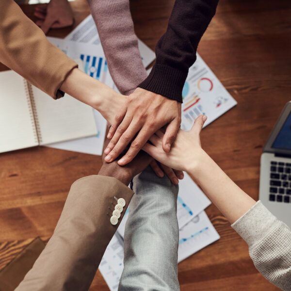 Top 5 Tips for the Perfect Business Plan Assignment